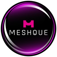 MESHQUE logo - Similar company to Encs