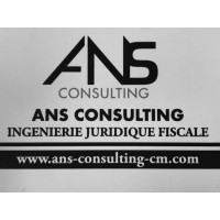 ANS CONSULTING logo - Similar company to Skysoft Technology Cm
