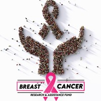Breast Cancer Research and Assistance Fund logo - Similar company to Anora