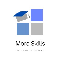 More Skills Academy logo - Similar company to Bigking Services