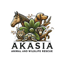 Akasia Animal And Wildlife Rescue NPC - 2025/093282/08 logo - Similar company to Broadbent Wildlife Sanctuary