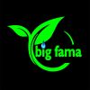 Big Fama logo - Similar company to Harbauer Kenya Water Solutions Ltd
