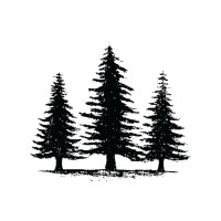 Pineway Media logo - Similar company to Gam Creative Marketing Solutions Ltd