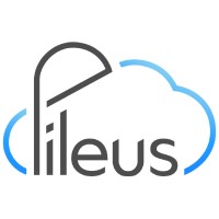 Pileus logo - Similar company to Umbrella