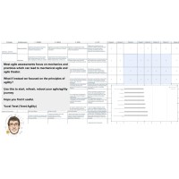 Principle-Based Agility Assessment