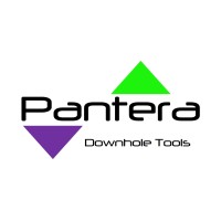Pantera Downhole Tools logo - Similar company to Predator Tools Downhole Separators
