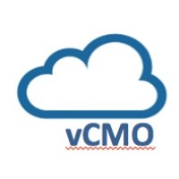 Virtual CMO Australia logo - Similar company to Webworm | Website Development & Seo Company