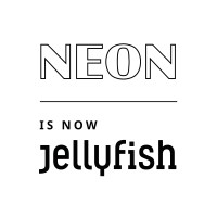 NEON Consulting logo - Similar company to Neon Risk Consulting