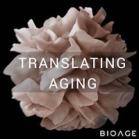 Translating Aging logo - Similar company to Imaginative Communities
