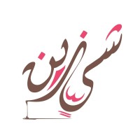 Shayn Zain logo - Similar company to Malath Amin