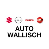 Auto-Wallisch logo - Similar company to Frontline Youth Communications