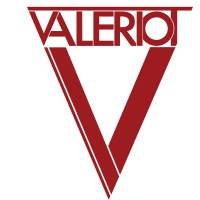 Valeriot FlexCo logo - Similar company to Efferon
