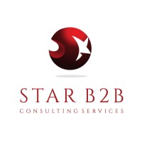 Star B2B Consulting Services LLC logo - Similar company to Ict Fusion