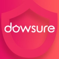 Dowsure logo - Similar company to Softdreams