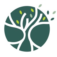 Roots and Branches Education logo - Similar company to Roots And Branches Therapy
