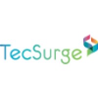 TecSurge logo - Similar company to All3D Oy
