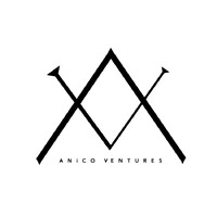 ANiCO VENTURES logo - Similar company to Fitpro-X
