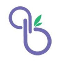 Blueberry logo - Similar company to Leshtronix Drone Systems