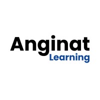 Anginat Learning logo - Similar company to Anginat