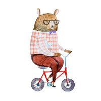 The Curious Bear Toy & Book Shop logo - Similar company to Paper Luxe