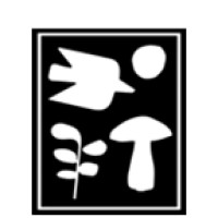 HARRISON GREEN logo - Similar company to Border Landscape Architecture