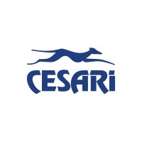 Cesari Multimodal logo - Similar company to Cide - Centro De Integração E Desenvolvimento