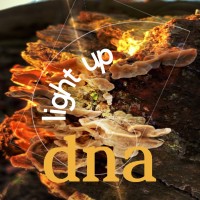 Dna Light Up