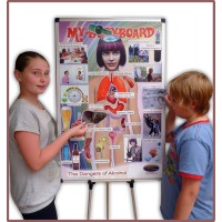 MY BODYBOARD - Health Education at its Best logo - Similar company to Evowell