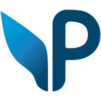 PegaSys Solutions