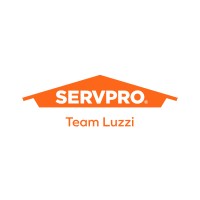 SERVPRO Team Luzzi logo - Similar company to Servpro Team Tmc