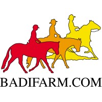 BADI FARM SRL logo - Similar company to Gedis