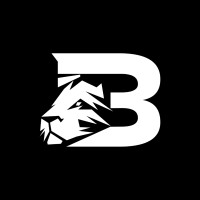 Beztao logo - Similar company to Somnoresp