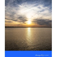 Port Washington Professionals