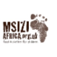 Msizi Africa logo - Similar company to The Luxxor Group