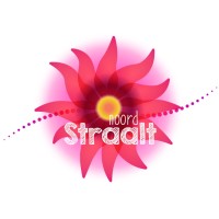 Noord Straalt logo - Similar company to Five City Spa