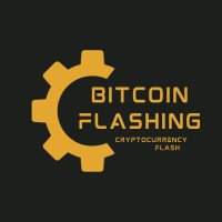 BITCOIN FLASHING AND API logo - Similar company to Bitcoin Flashing