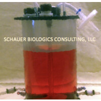 SCHAUER BIOLOGICS CONSULTING, LLC logo - Similar company to Drug Biologics Consulting