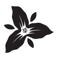 Trillium Investments LLC logo - Similar company to Trillium Ventures Msv