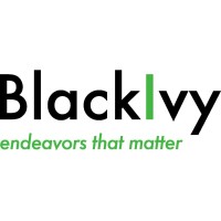 BlackIvy Group logo - Similar company to Bigcold