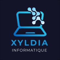 Xyldia Informatique logo - Similar company to Axeomedical