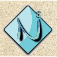 Networky logo - Similar company to Networky