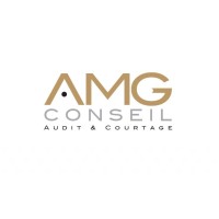 AMG Conseil - Audit & Courtage logo - Similar company to Cogerial