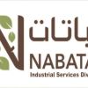 Nabatat company ISD logo - Similar company to Fmco