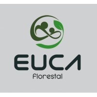 EUCA FLORESTAL COM. DE MADEIRAS logo - Similar company to Foco Florestal