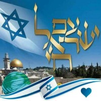 Global Jewish Action Center logo - Similar company to ווב סקיפר - עיצוב ובניית אתרים