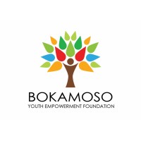 Bokamoso Youth Empowerment Foundation logo - Similar company to Community Land Action Now!
