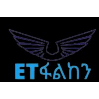 ET Falcon Media logo - Similar company to Enetsky Inc