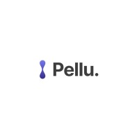 Pellu People development logo - Similar company to Thirdpay