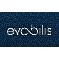 Evobilis Int'l Ltd logo - Similar company to Org.Works