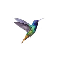 JHH Coaching & Consulting